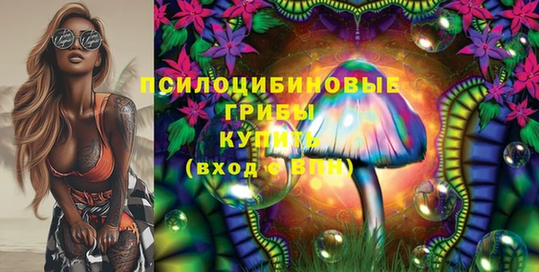 шишки Алексеевка