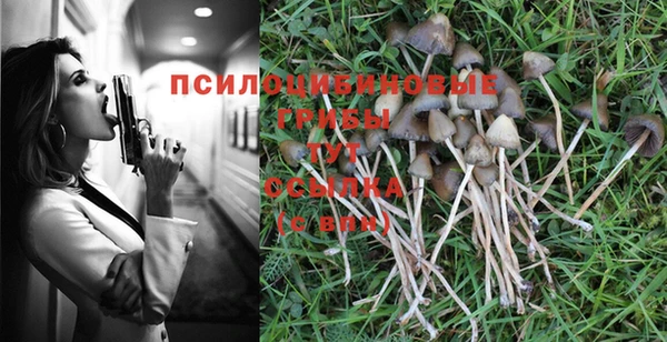 амф Алзамай