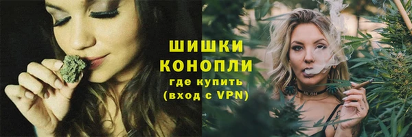 шишки Алексеевка