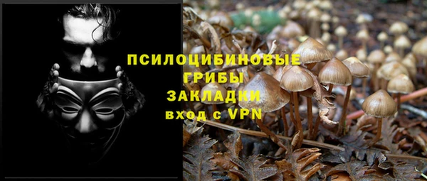 шишки Алексеевка