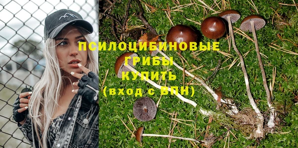 амф Алзамай