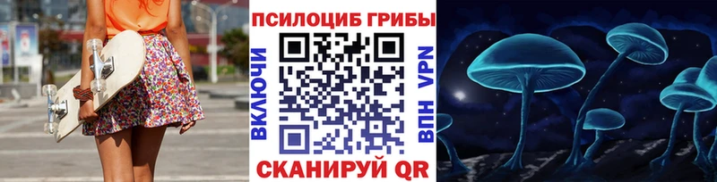 где продают   Полевской  кракен зеркало  Псилоцибиновые грибы мухоморы 